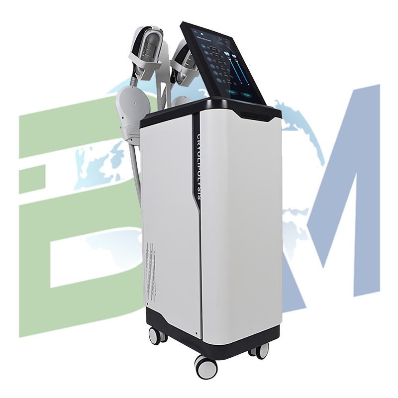 BA-ES24: 2 in 1 EMS RF Fat Freezing Machine - bamboolaser