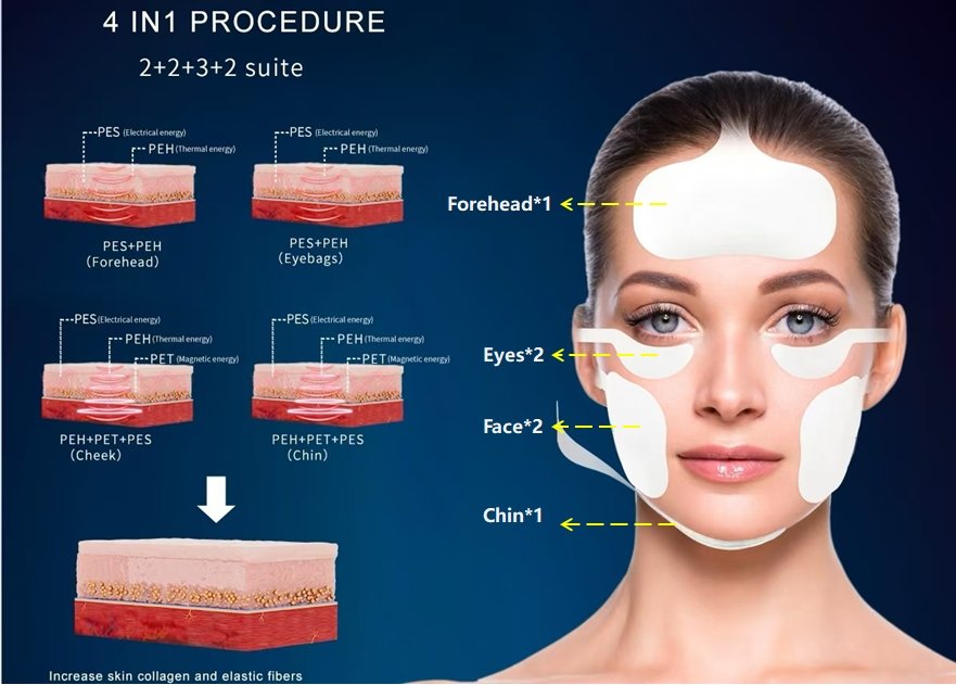 ems facial machine principle