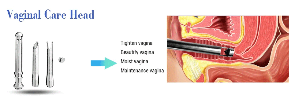 BA-FC21 vaginal care head