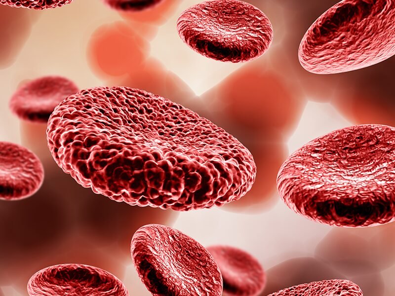 Vascular regeneration