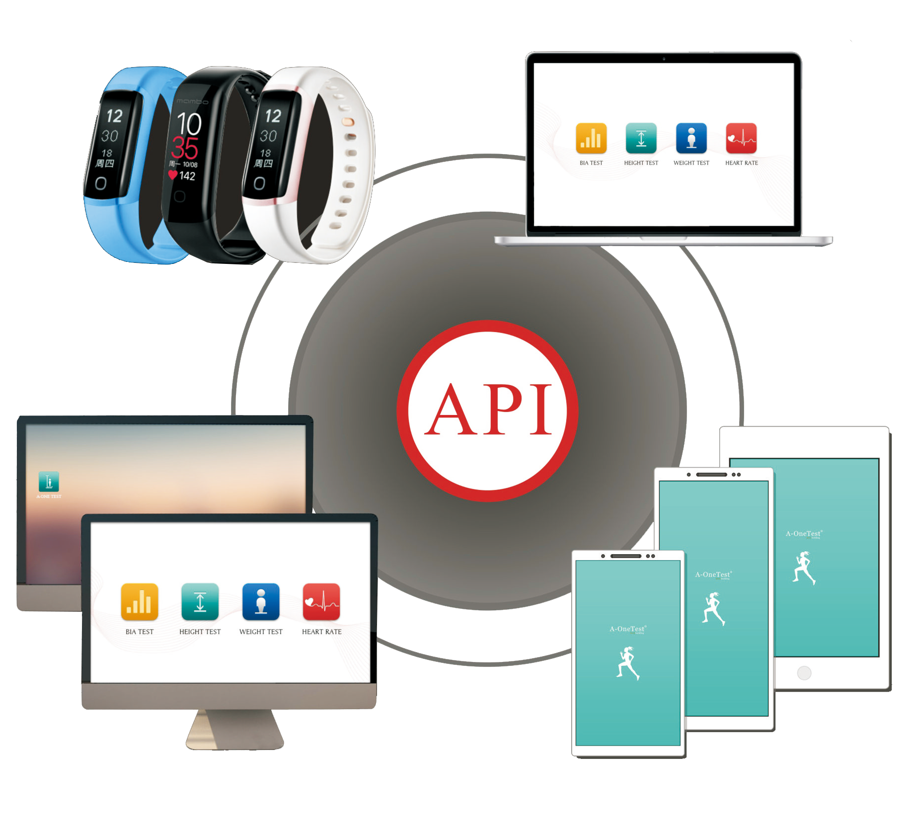 body composition api