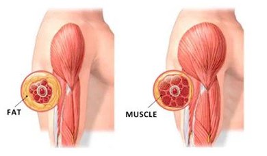 shockwave ems principle