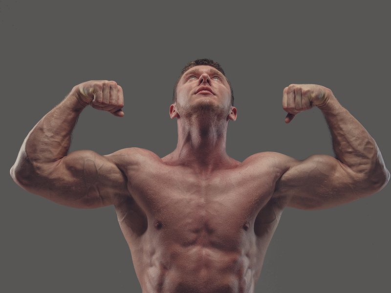 muscle building