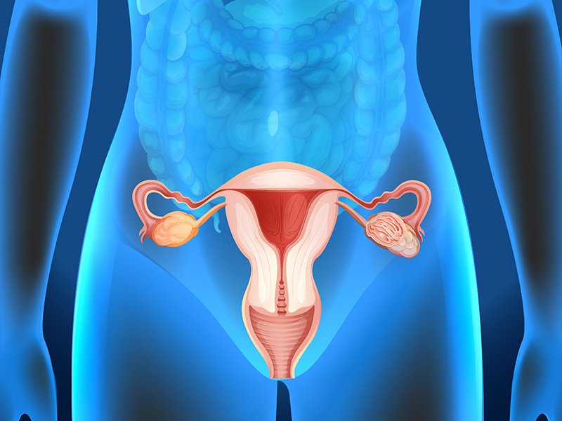 female private floor health