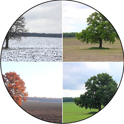 ba-an24-four-season skin tone