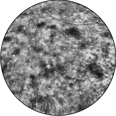 ba-an24-pigment distribution