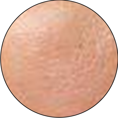 ba-an24-pores