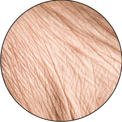 ba-an24-texture